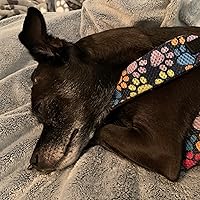 Profile Image for Doll.