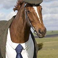 Profile Image for Raven.