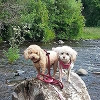 Profile Image for Sonia.