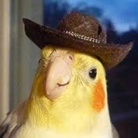 Profile Image for Tintin.