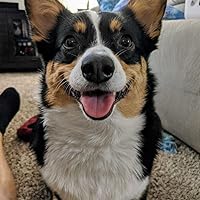 Profile Image for Emily Capella.