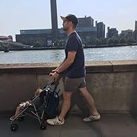 The Seersucker Whipsaw by Ross Thomas | Goodreads