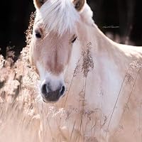 Profile Image for Amani Alaqel.