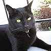Lyla