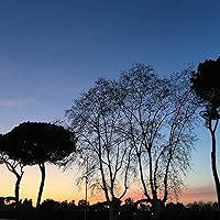 Profile Image for Annie.