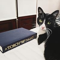 Profile Image for It's a cat in a box - Ana Sofia.
