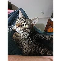 Profile Image for Alison.