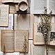 milsbookcorner