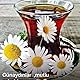 Ayse_