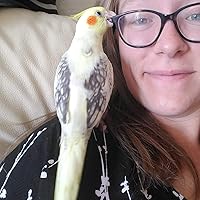 Notorious By Raphael Rowe Goodreads