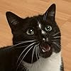 Frankie