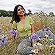 Deesha