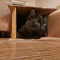 Profile Image for Samantha Henderson.