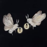 Profile Image for Mel T..