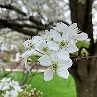 Profile Image for J. Z. Kelley.