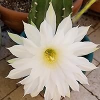 Profile Image for Debbi.