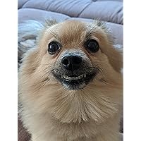 Profile Image for Mr. Horror.