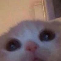 Profile Image for Will.