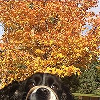 Profile Image for Steve Fisher.