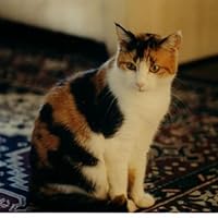 Profile Image for Topazthecat.