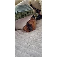 Profile Image for Pam M..