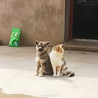 Profile Image for 已注销.