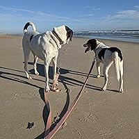 Profile Image for Jen.