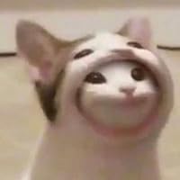 Profile Image for Jas.