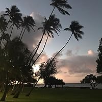 Profile Image for Dan Zisa.