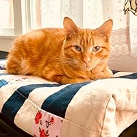 Profile Image for Ana Fernandes.