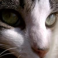Profile Image for Cherie R.