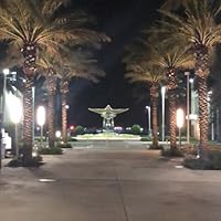 Profile Image for elise.