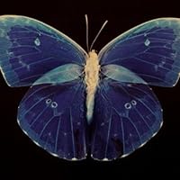 Profile Image for Hanna Heneghan.