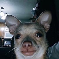 押見修造 Amazon.co.jp: 血の轍 1-9巻 新品セット : 押見 修造: 本