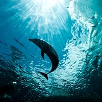 Profile Image for Ericka Leonard.