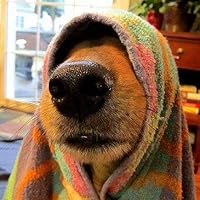 Profile Image for Steven Latta.