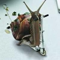 Profile Image for Tom M..