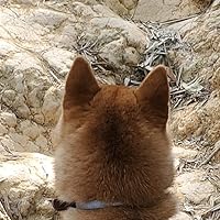 Profile Image for Vanonearth.