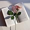 book_lover