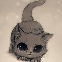 Profile Image for Reaghan.