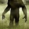 SquatchDon’tLie