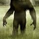 SquatchDon’tLie