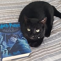 Profile Image for Ashley.