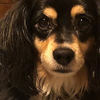 Profile Image for Colleen.