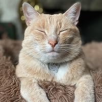 Renaissance and Renewal in the Twelfth… Renaissance and renewal in the twelfth century : Free