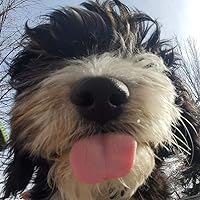 Profile Image for Alexandra.