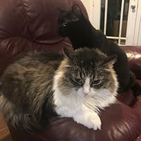 Profile Image for Maria McIlwain.