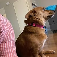 Profile Image for Kaysie.