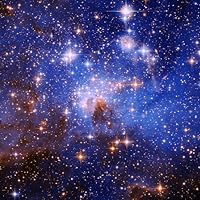 Profile Image for Dee Rogers.