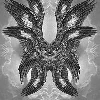 Profile Image for Ari.